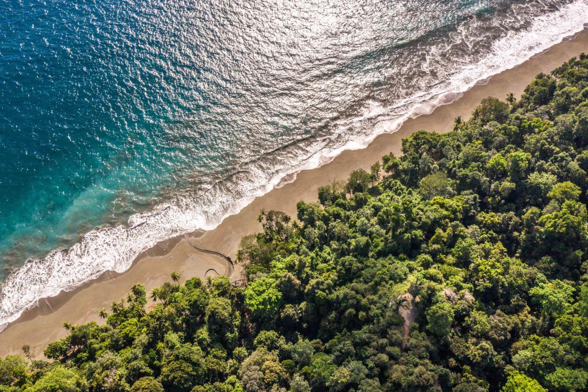 El Remanso Rainforest Lodge Puerto Jiménez Εξωτερικό φωτογραφία