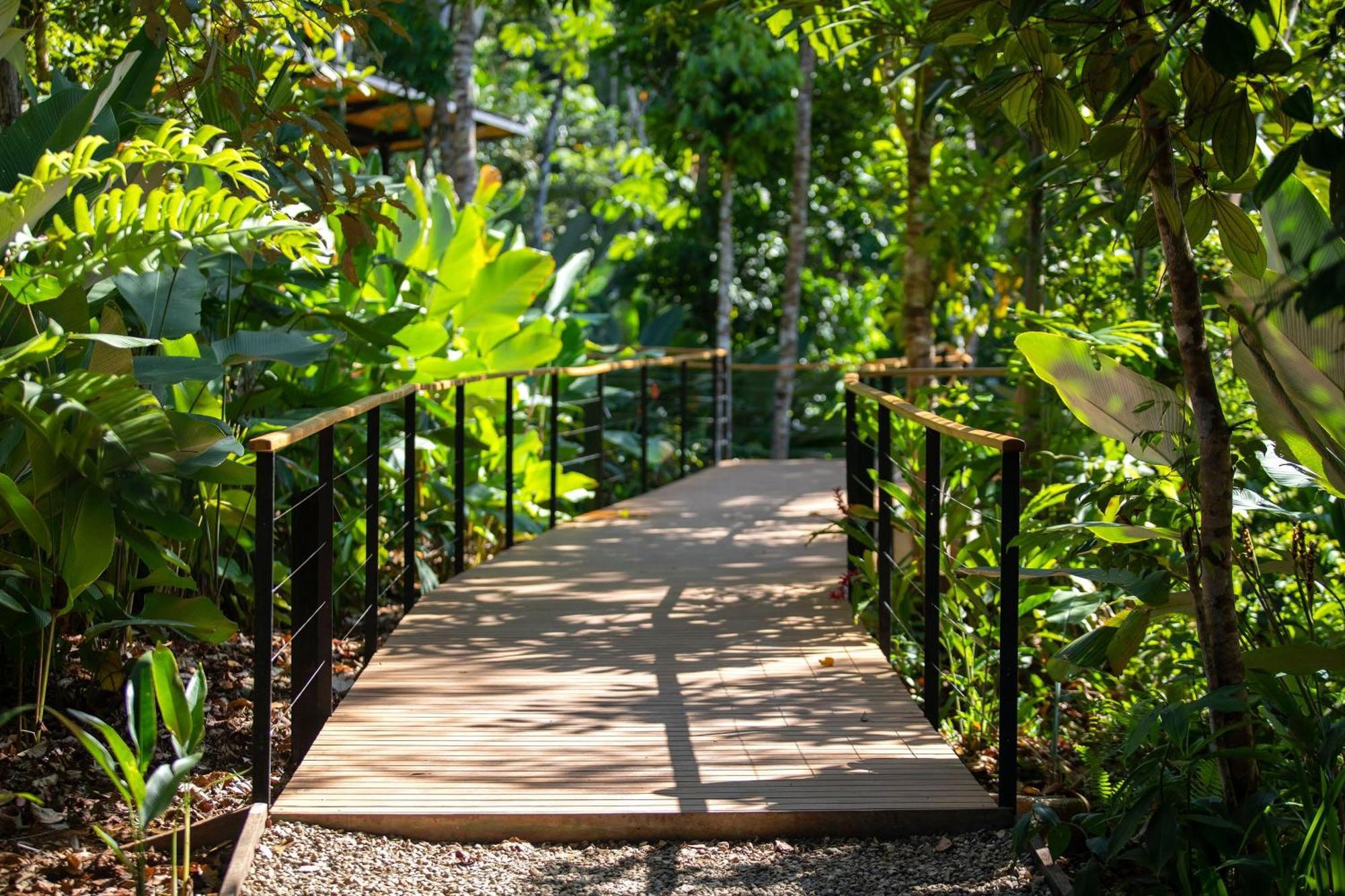 El Remanso Rainforest Lodge Puerto Jiménez Εξωτερικό φωτογραφία