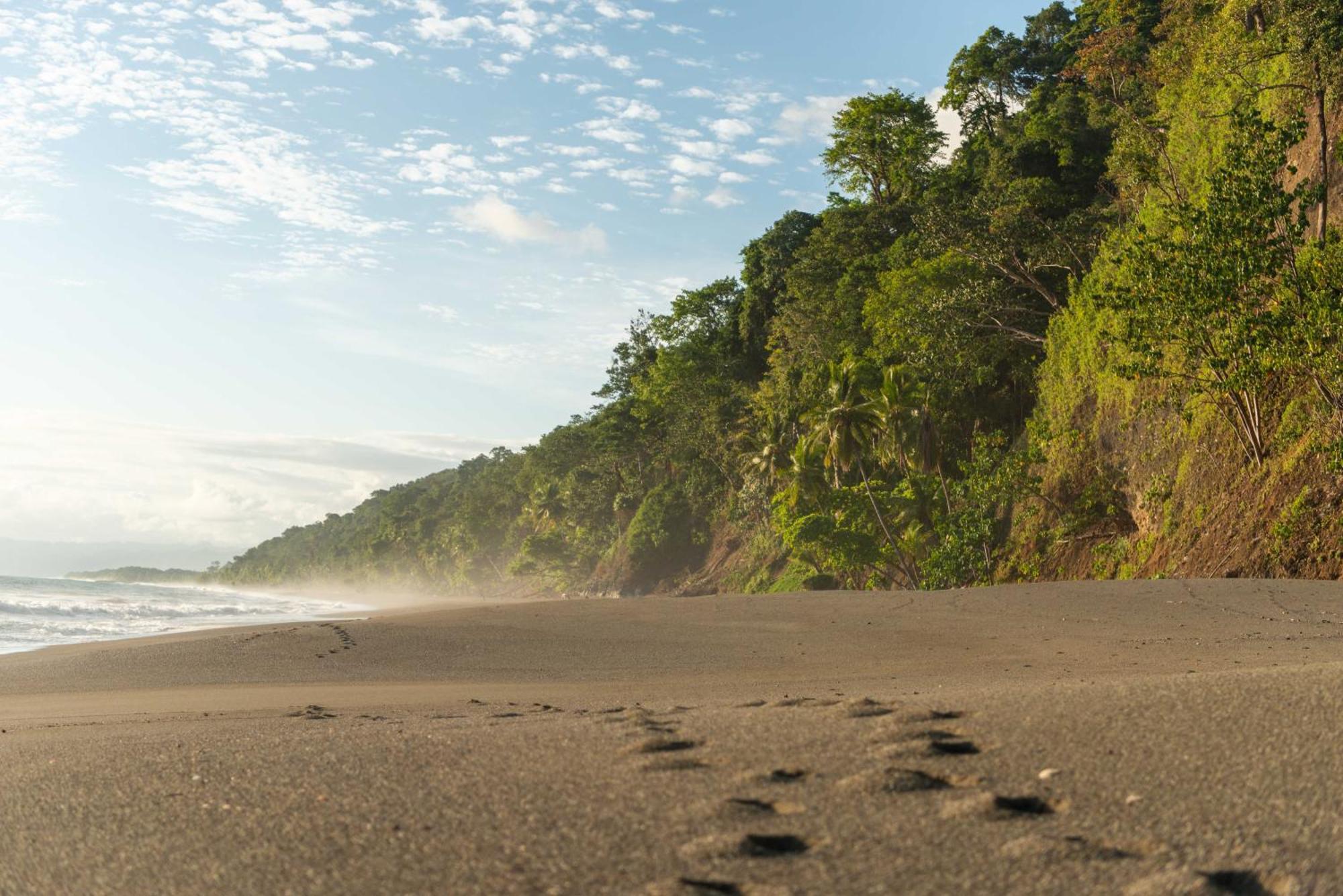 El Remanso Rainforest Lodge Puerto Jiménez Εξωτερικό φωτογραφία