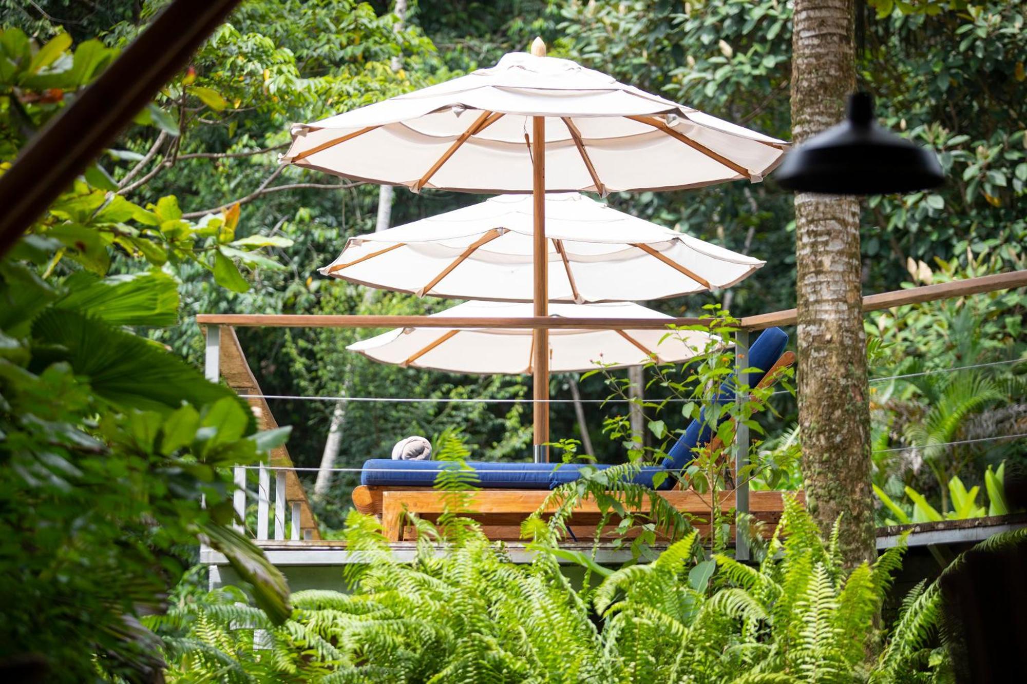 El Remanso Rainforest Lodge Puerto Jiménez Εξωτερικό φωτογραφία