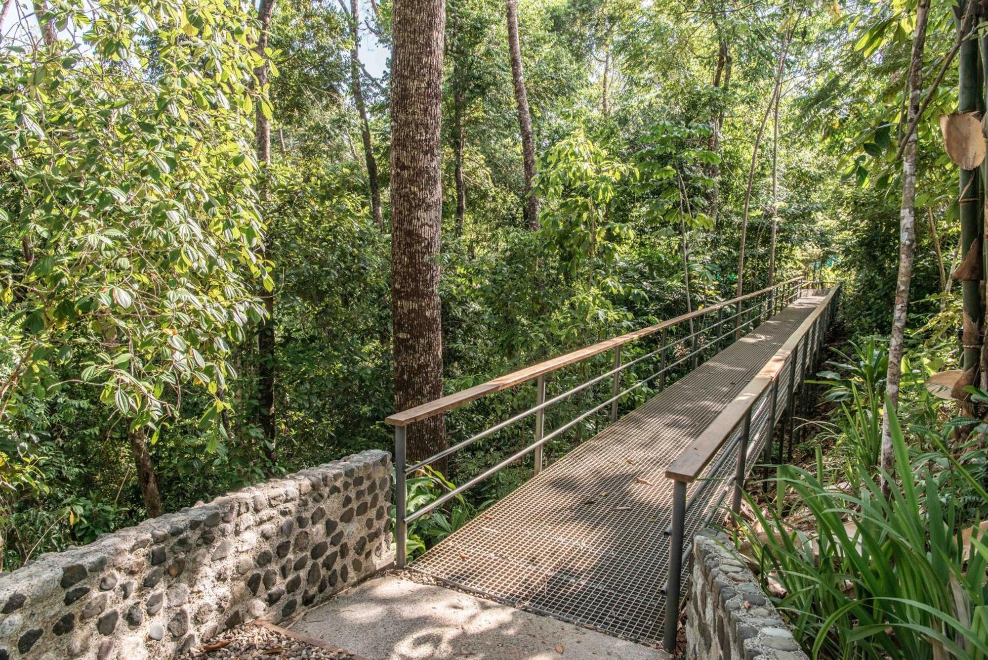 El Remanso Rainforest Lodge Puerto Jiménez Εξωτερικό φωτογραφία